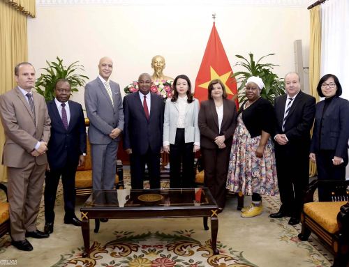 Expanding Vietnam-Africa Cooperation: A mutually beneficial partnership