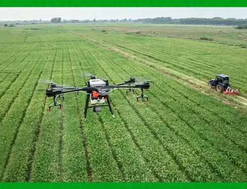 Transforming Agricultural Underwriting: Harnessing Digital and GIS Technologies for Sustainable Development