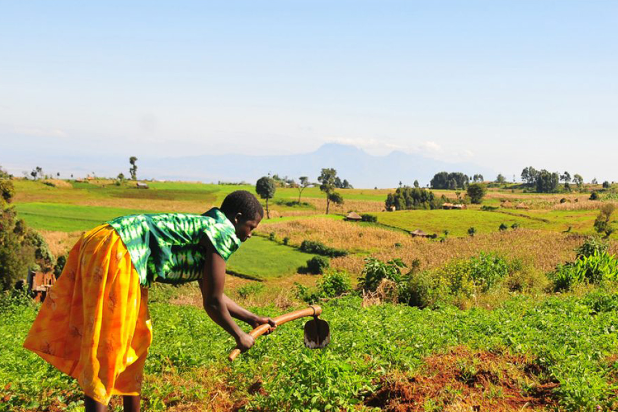 Guardians of the Green: Indigenous Environmental Stewardship in Africa ...
